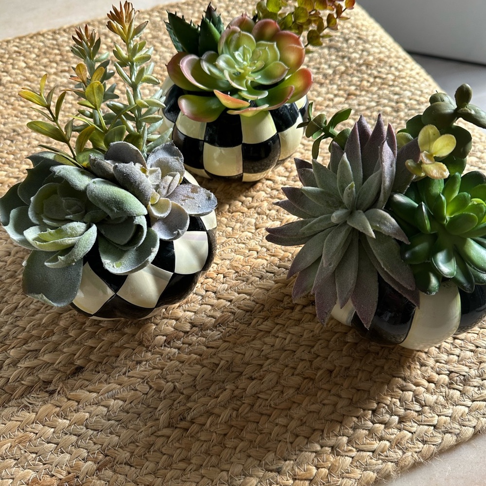 MacKenzie-Childs Black and White Faux Succulent Trio - Picture 10 of 10